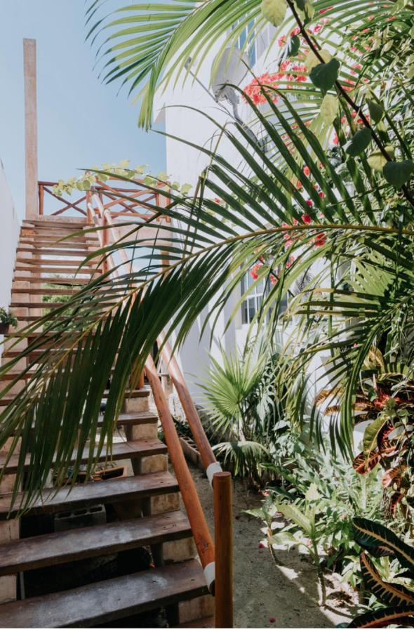 Posada Don Antonio Isla Holbox Dış mekan fotoğraf